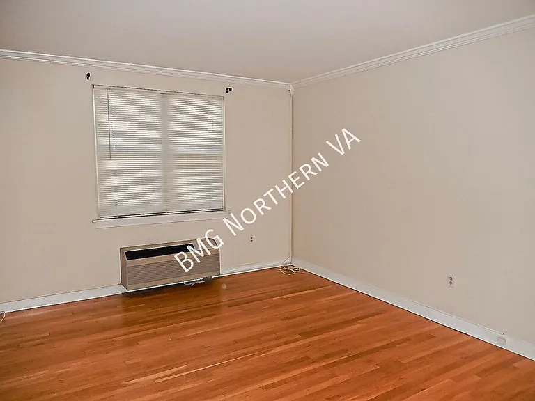 3403 Commonwealth Ave #B — Photo 4