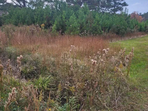 652 Holly Ridge Road, Holly Ridge, NC 28445