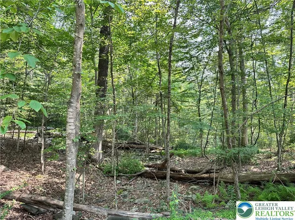 Saint Moritz Ct #4F, Henryville, PA 18332