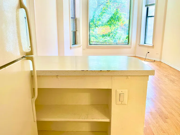 448 W Saint James Pl #2A — Photo 14