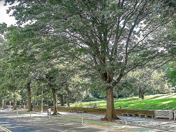 471 Central Park West image 11 of 13