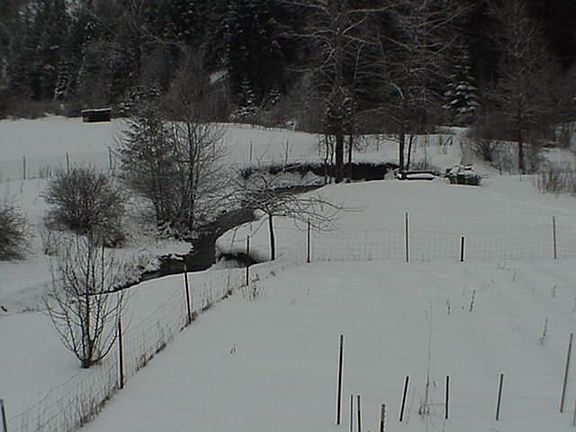 Creek w/ Picnic area