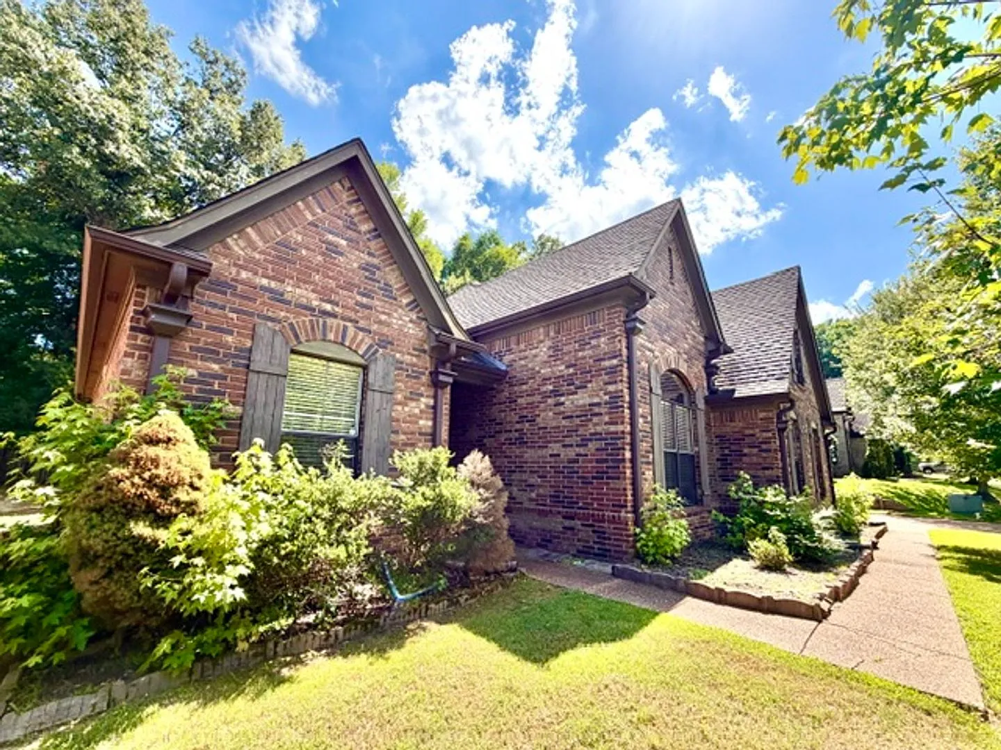 BirdStoneCv10601 — Photo 2