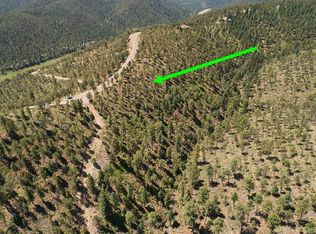 161 Merlyn Dr, Ruidoso, NM 88345