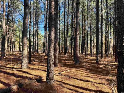 TBD Copeland Moody Rd., Marion, SC, 29571