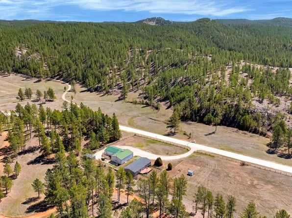 11666 Pleasant Valley Rd, Custer, SD 57730