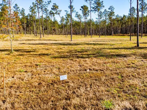 LOT 20 Big Buck Dr, Moscow, TX 75960