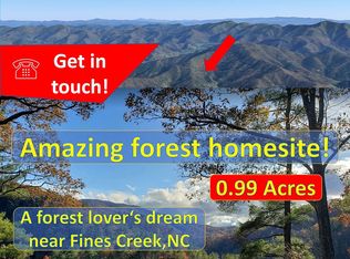 0 Hyacinth Dr, Clyde, NC 28721