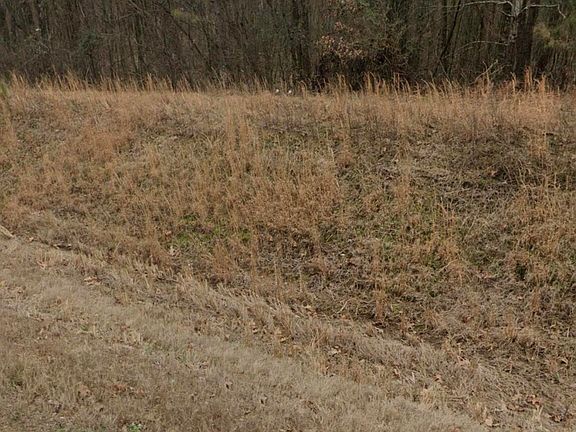 5th image of 3197 N Fogg Rd Lot 3