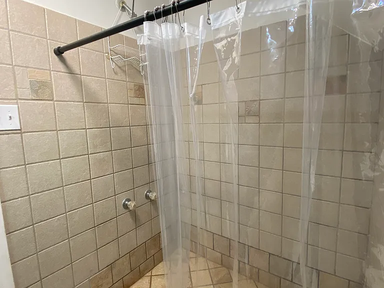 Large walk-in shower with custom tile.