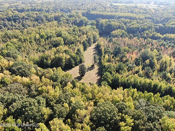 4th image of 390 Old Panola Rd