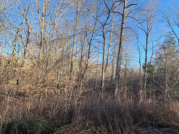 5th image of Tarragon Way Lot 22