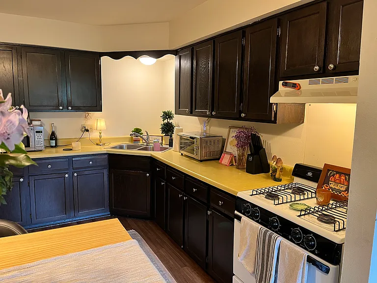 650 E Lincoln Ave — Photo 11