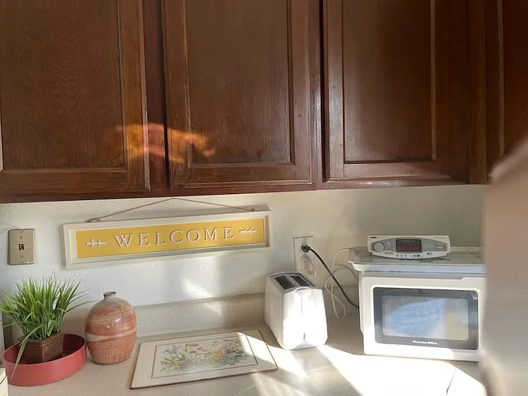 Kitchen radio, toaster, and microwave corner.