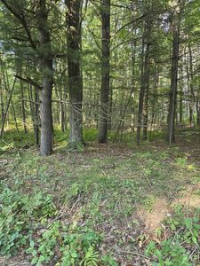 Hale Rd, Peshtigo, WI, 54157