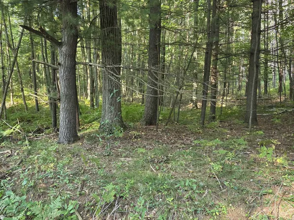 Hale Rd, Peshtigo, WI 54157