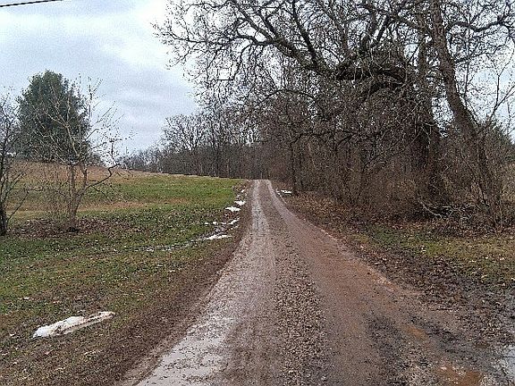 4th image of 4202 Jisco West Rd