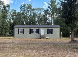 262 NE Laurie Ln, Mayo, FL 32066