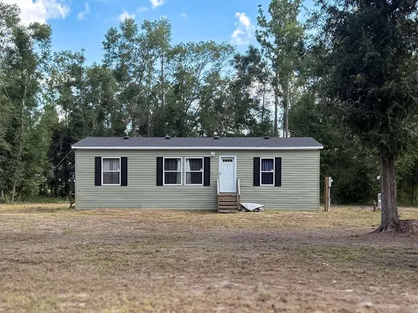 262 NE Laurie Ln, Mayo, FL 32066