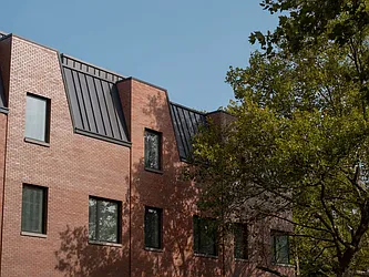 437 Lewis Avenue in Stuyvesant Heights