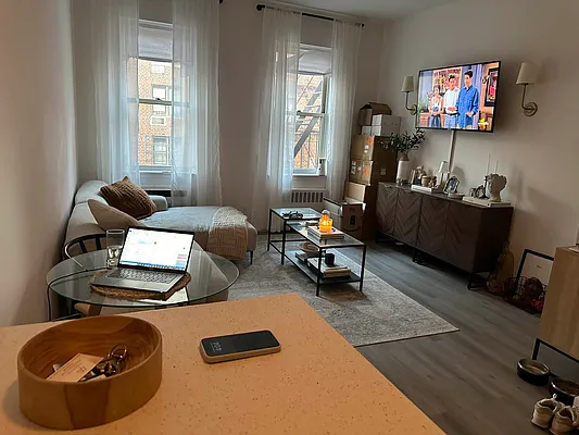 Rented by Eric Goodman Realty Corp | media 6