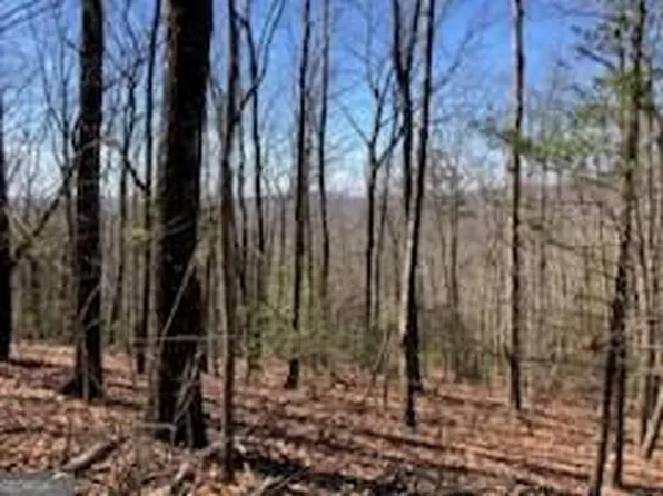 965 Old Parker Ter, Ellijay, GA 30536
