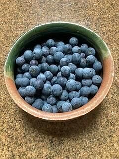 3rd image of 2870 Bis Rd SW