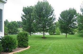 3rd image of 171 McCluer Dr