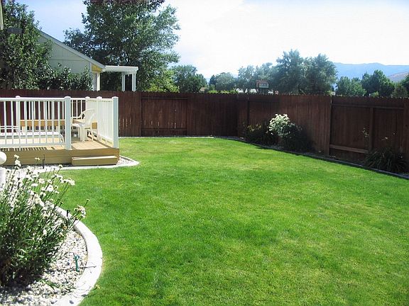 Sunny landscaped back yard