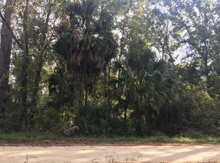 3 Northwest St, Steinhatchee, FL 32359