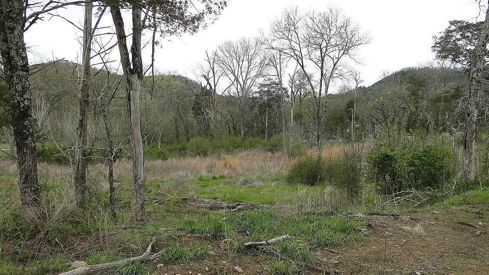 1st image of 25 Mount Olive Mnr