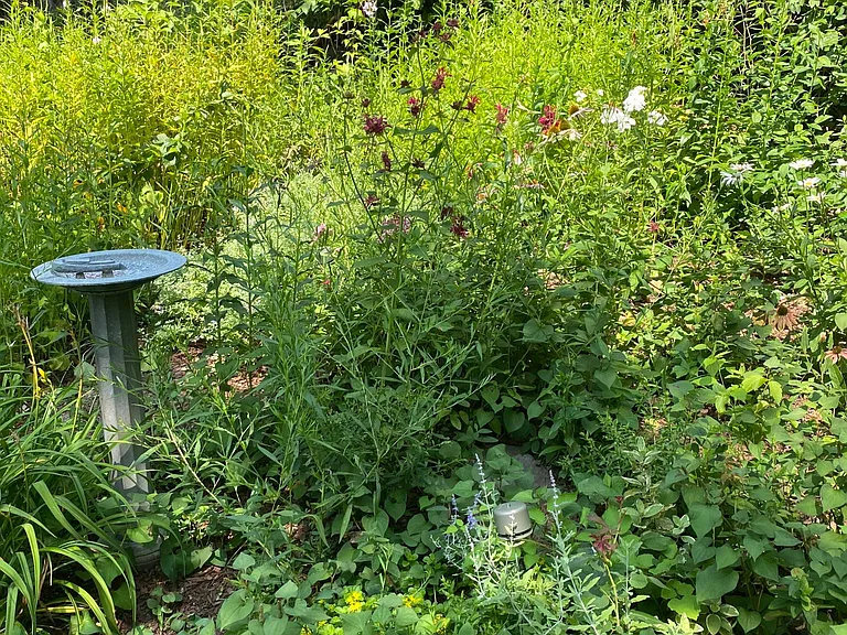Perennial Garden