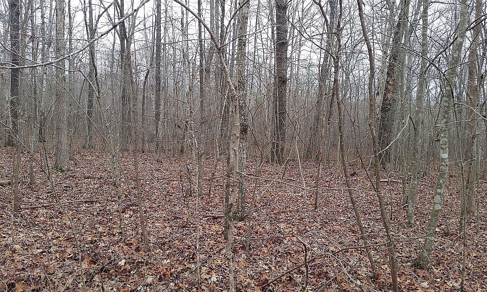 1st image of Valley Ct #181