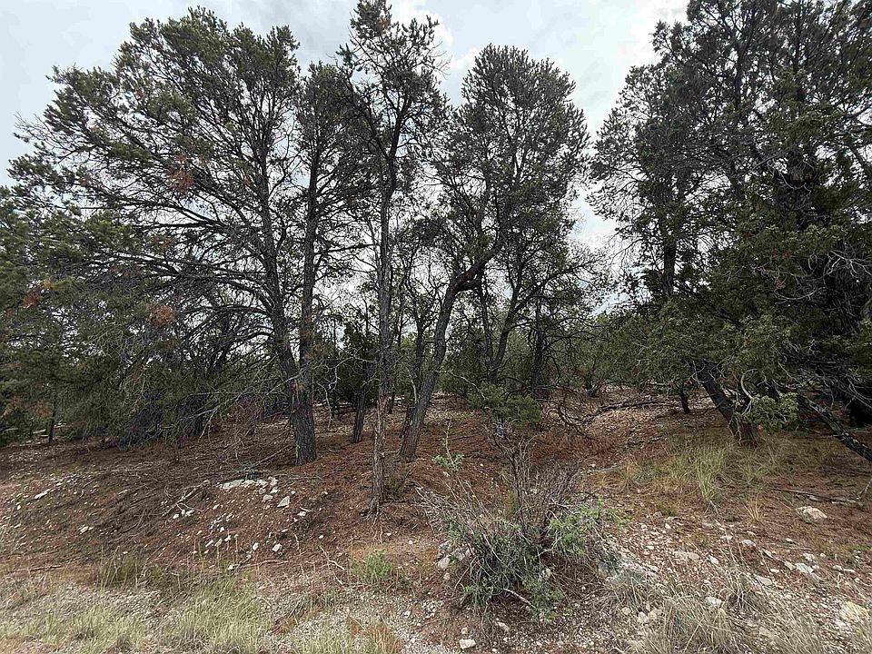 1st image of 66 Mogollon Trl