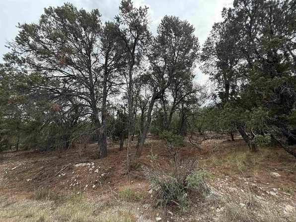 66 Mogollon Trl, High Rolls Mountain Park, NM 88325