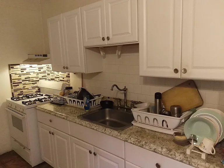 154 Webster Ave #3B — Photo 12