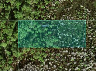 26-26-19-000000- Inaccessible Trak, Polk City, FL 33868