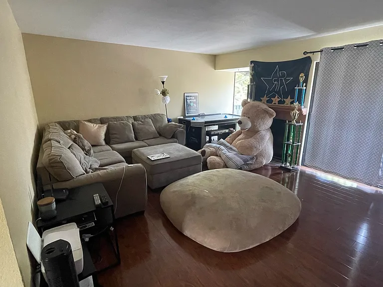 3309 Caminito Gandara — Photo 13