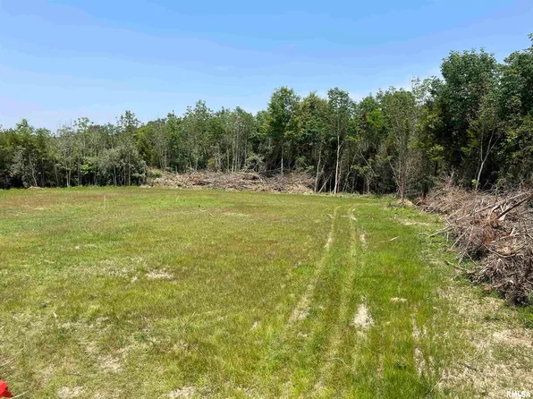 0 Tom Dick Hill Rd, Stonefort, IL 62987