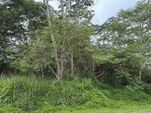 1st image of Hapuu Dr Lot 28