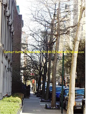 Rented by Prince Real Estate Associates LLC | media 41