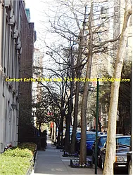 Rented by Prince Real Estate Associates LLC