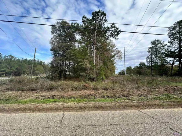31714 Pea Ridge Rd, Albany, LA 70711