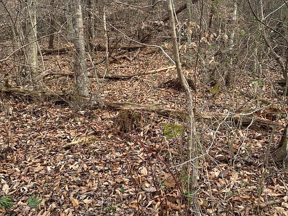 4th image of 247 Mahoney Rd