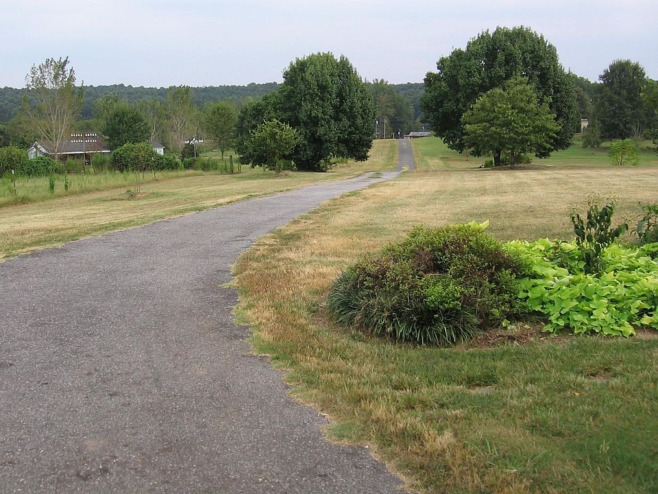 Front yard & Driveway
