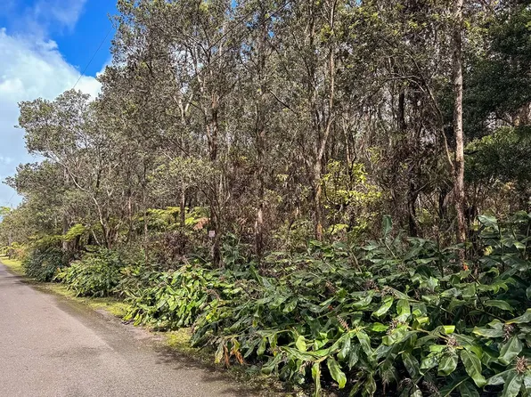2nd St Lot 216, Volcano, HI 96785