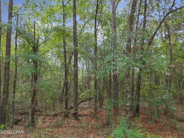 LOT 24 Remington Pl, Bonifay, FL 32425