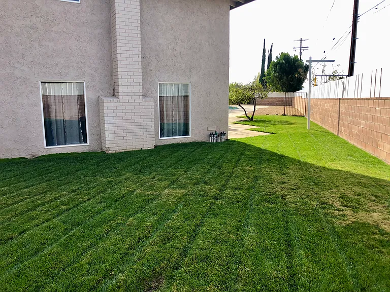 10661 Coraline Pl — Photo 29