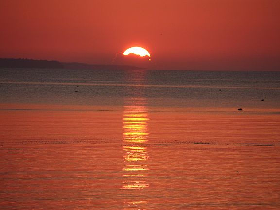 Beautiful Sunset in Tall Timbers