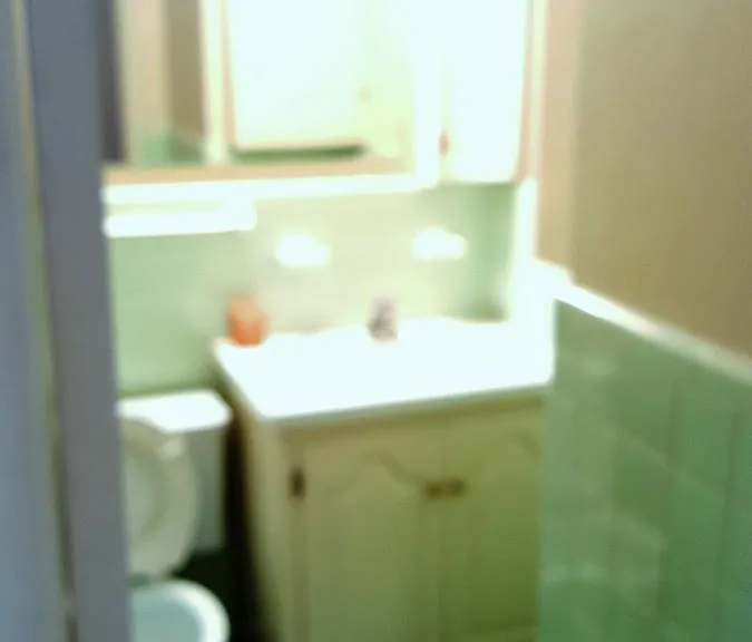 4709 N Virginia Ave — Photo 3